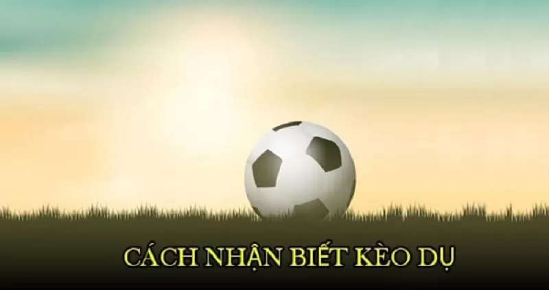 Cách nhận biết kèo dụ xuất hiện Cách nhận biết kèo dụ xuất hiện