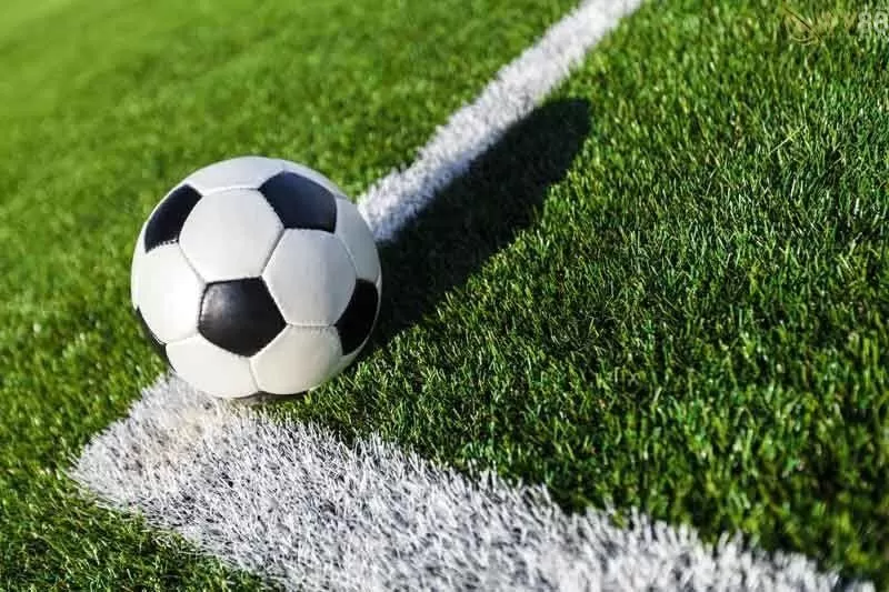 Ngày càng nhiều cược thủ sử dụng rộng rãi bào cỏ Ngày càng nhiều cược thủ sử dụng rộng rãi bào cỏ